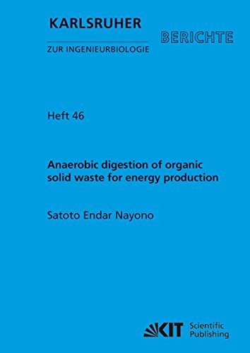 Book cover of Anaerobic Digestion Of Organic Solid Waste For Energy Production by Satoto Endar Nayono