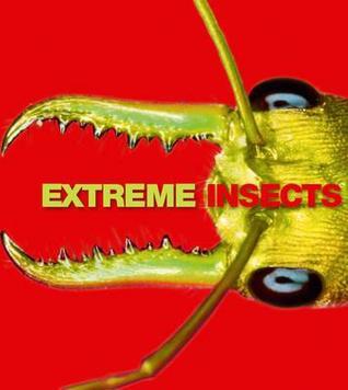 Book cover of Extreme Insects by Richard Jones