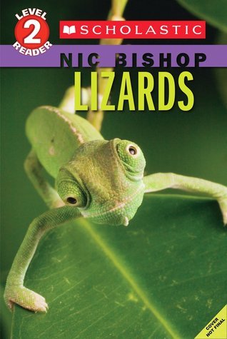 Book cover of Lizards by Nic Bishop