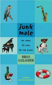 Book cover of Junk Male by Brian Gallagher