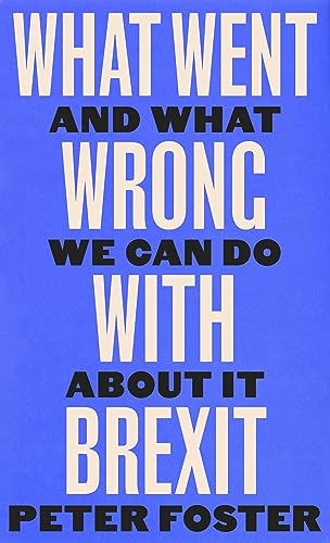 Book cover of What Went Wrong With Brexit: And What We Can Do About It by Peter Foster