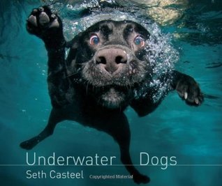 Book cover of Underwater Dogs by Seth Casteel