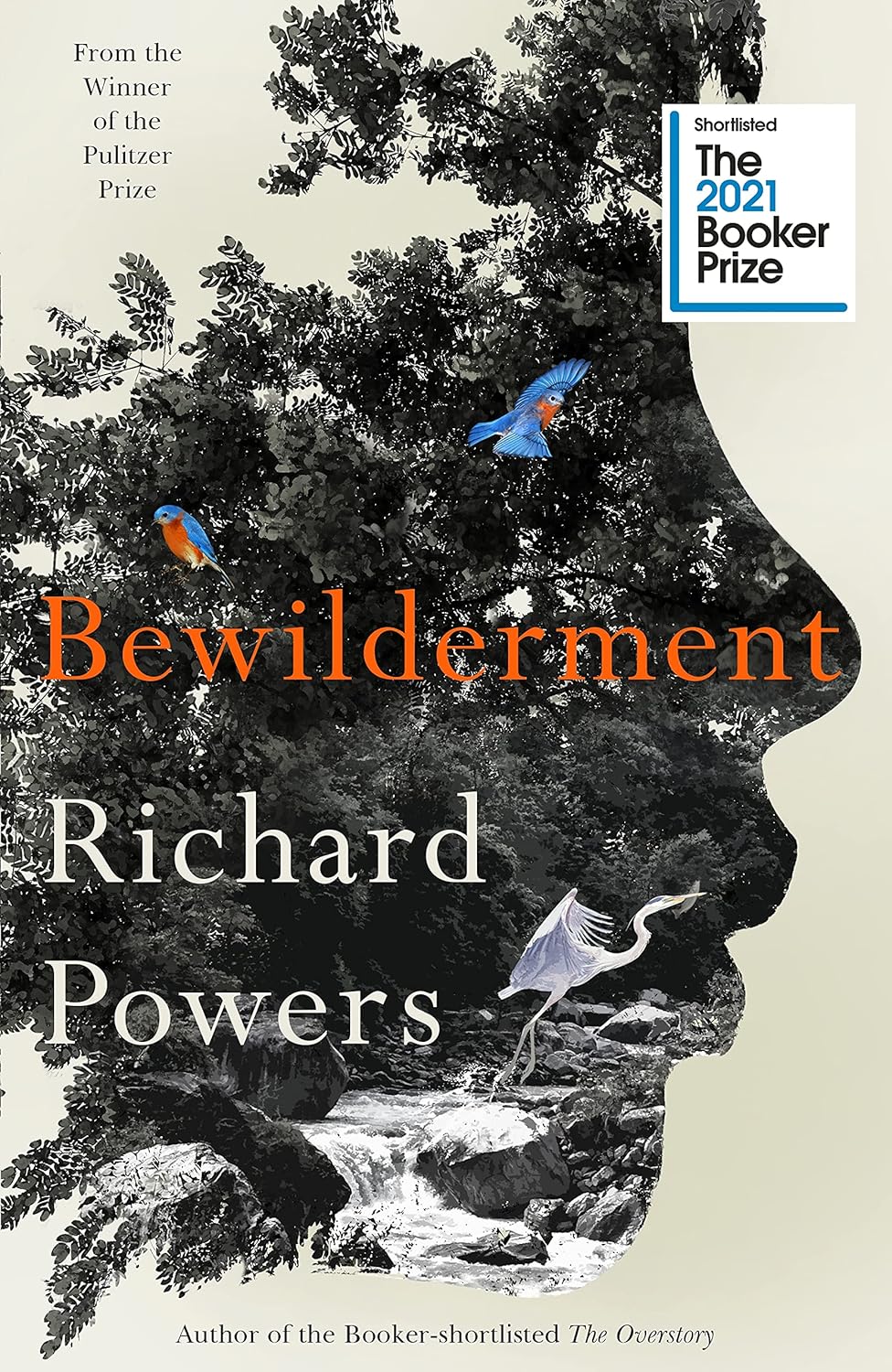 Book cover of Bewilderment by Richard Powers