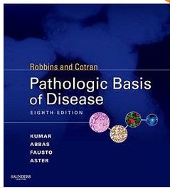 Book cover of Life-Span Human Development, International Edition, 6th Edition by CAROL K. SIGELMAN ELIZABETH A. RIDER