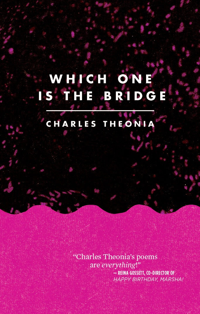 Book cover of Which One Is The Bridge by charles theonia