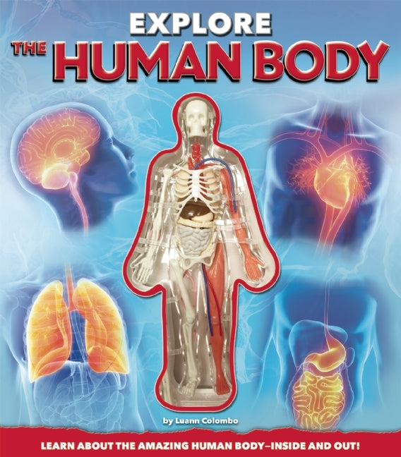 Book cover of Explore The Human Body by Luann Columbo, Craig Zukerman (Illustrations), Jennifer Fairman (Illustrations)