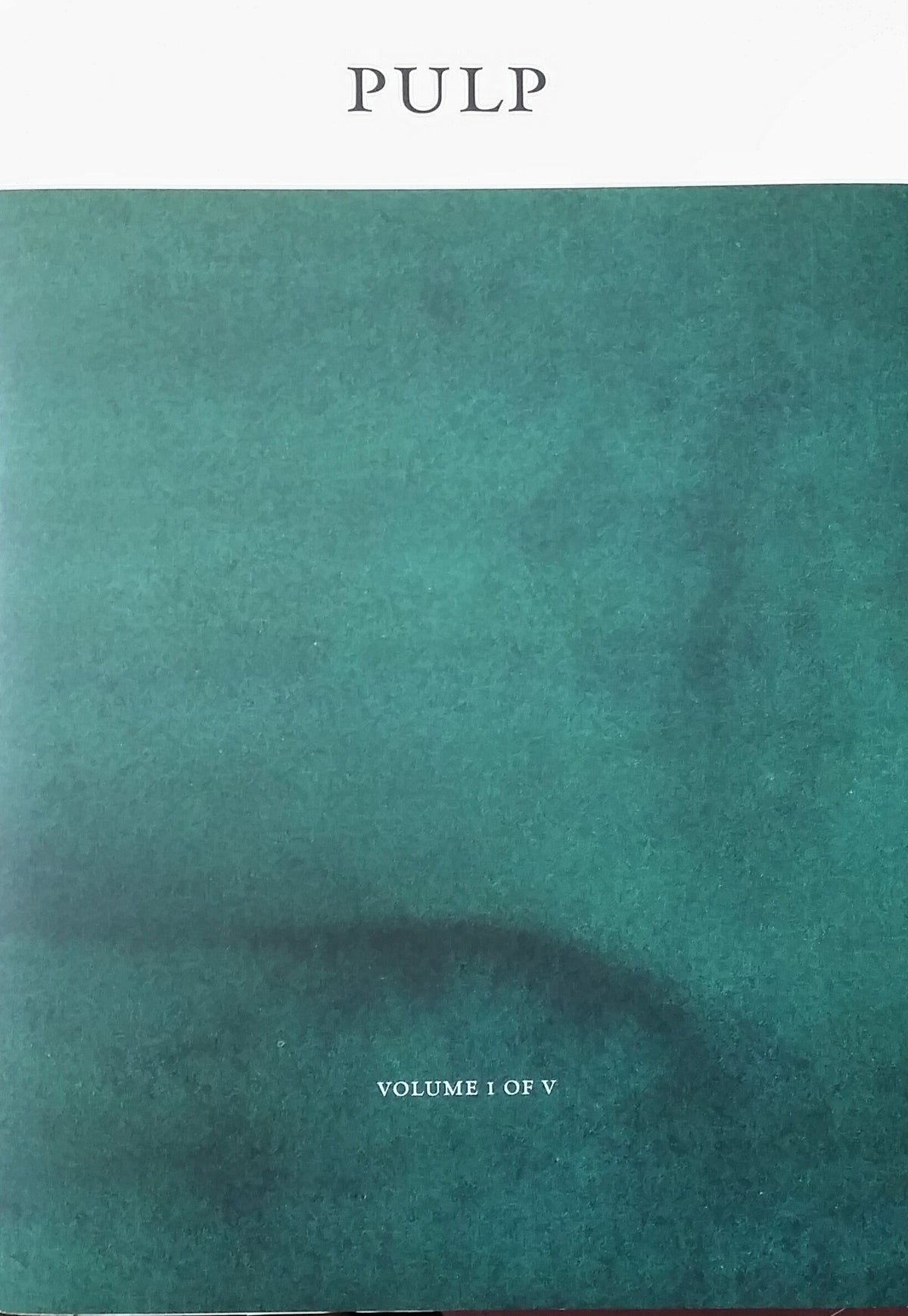 Book cover of Pulp: A Short Biography of the Banished Book. Vol I of V by Shubigi Rao