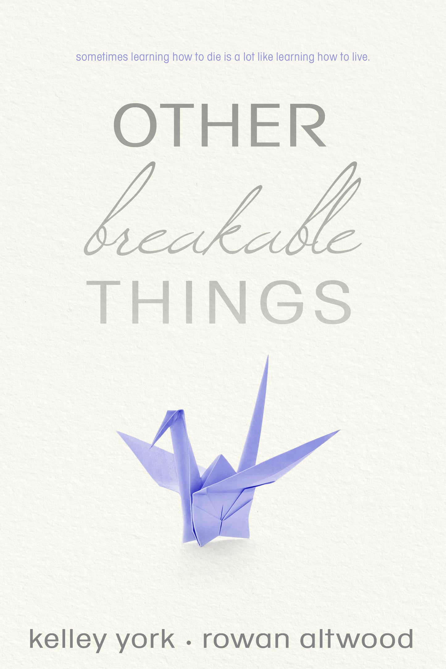 Book cover of Other Breakable Things by Kelley York, Rowan Altwood