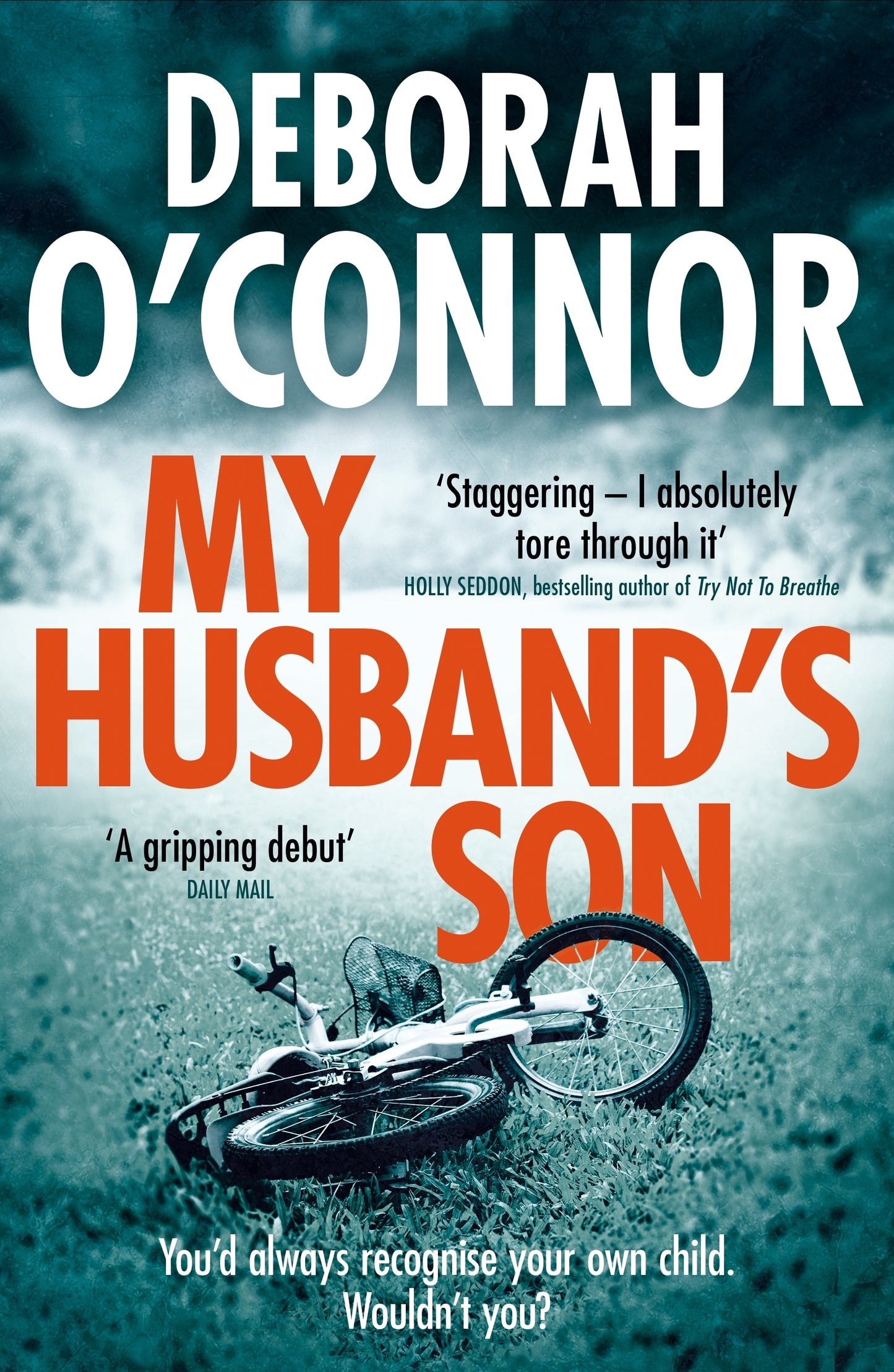 Book cover of My Husband's Son by Deborah O'Connor