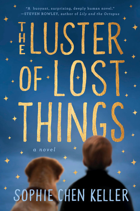 Book cover of The Luster Of Lost Things by Sophie Chen Keller