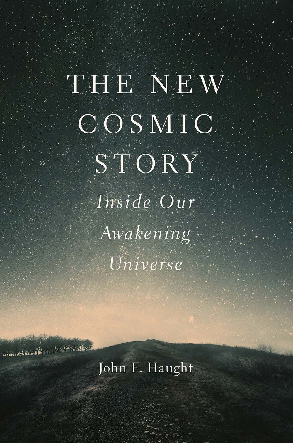 Book cover of The New Cosmic Story: Inside Our Awakening Universe by John F. Haught