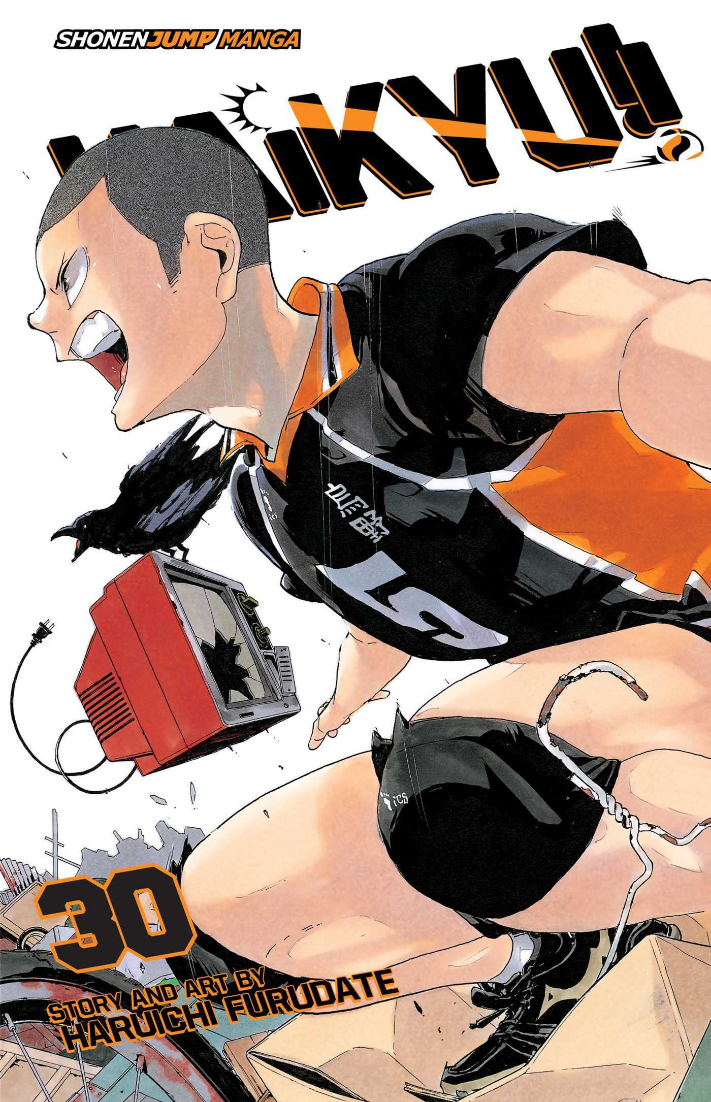 Book cover of Haikyu!!, Vol. 30 by Haruichi Furudate
