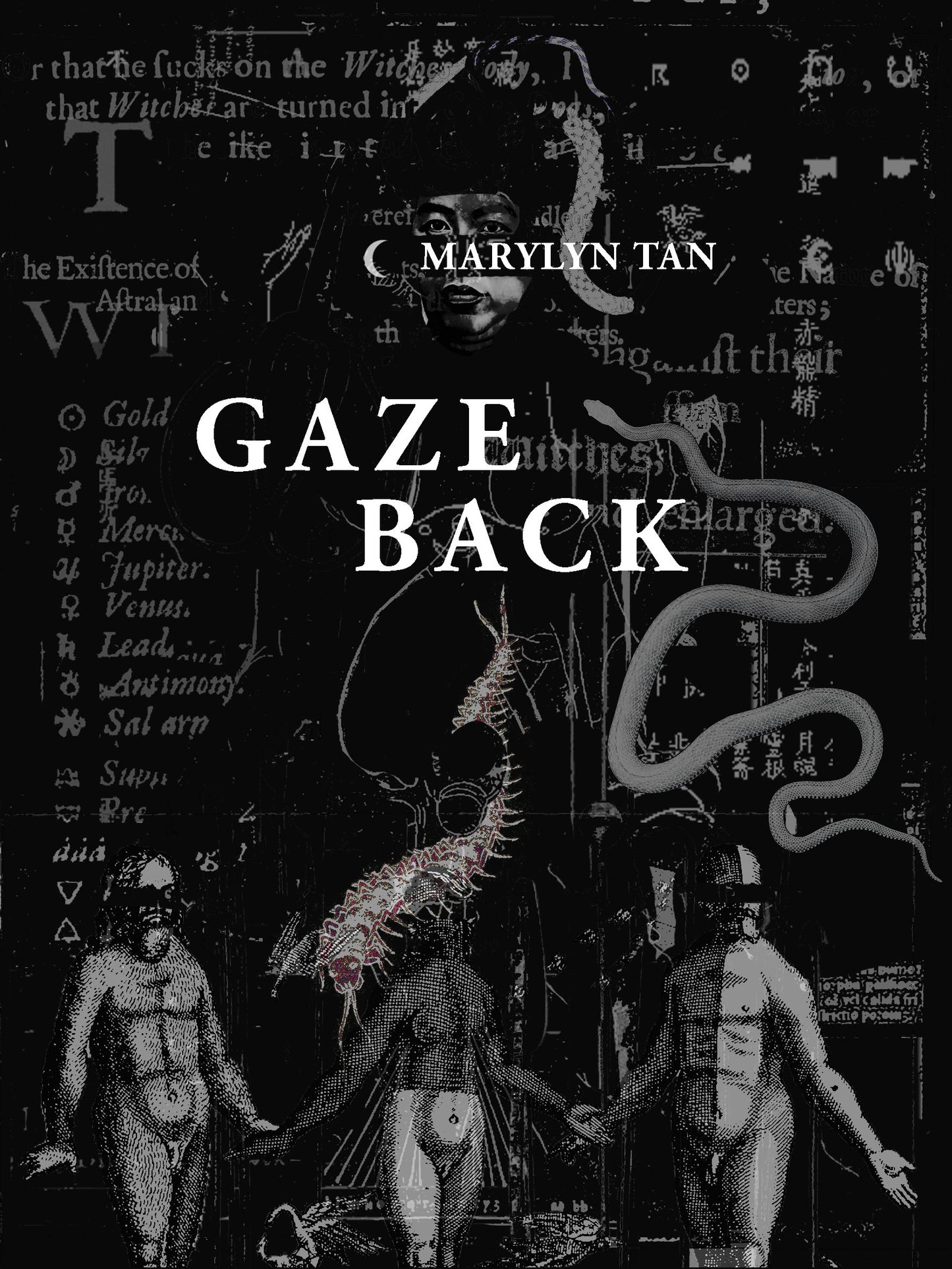 Book cover of Gaze Back by Marylyn Tan
