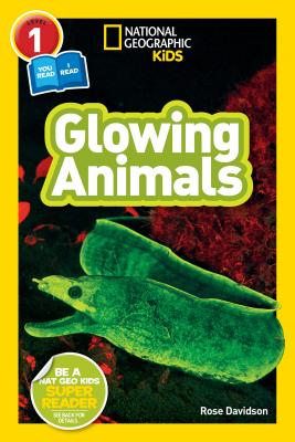 Book cover of Glowing Animals by Rose Davidson