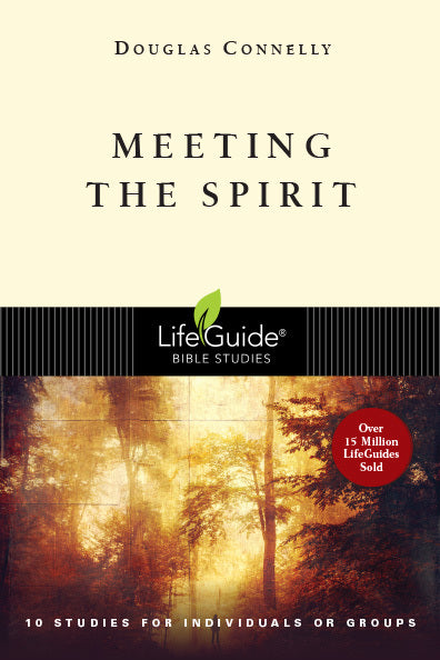 Book cover of Meeting The Spirit by Douglas Connelly