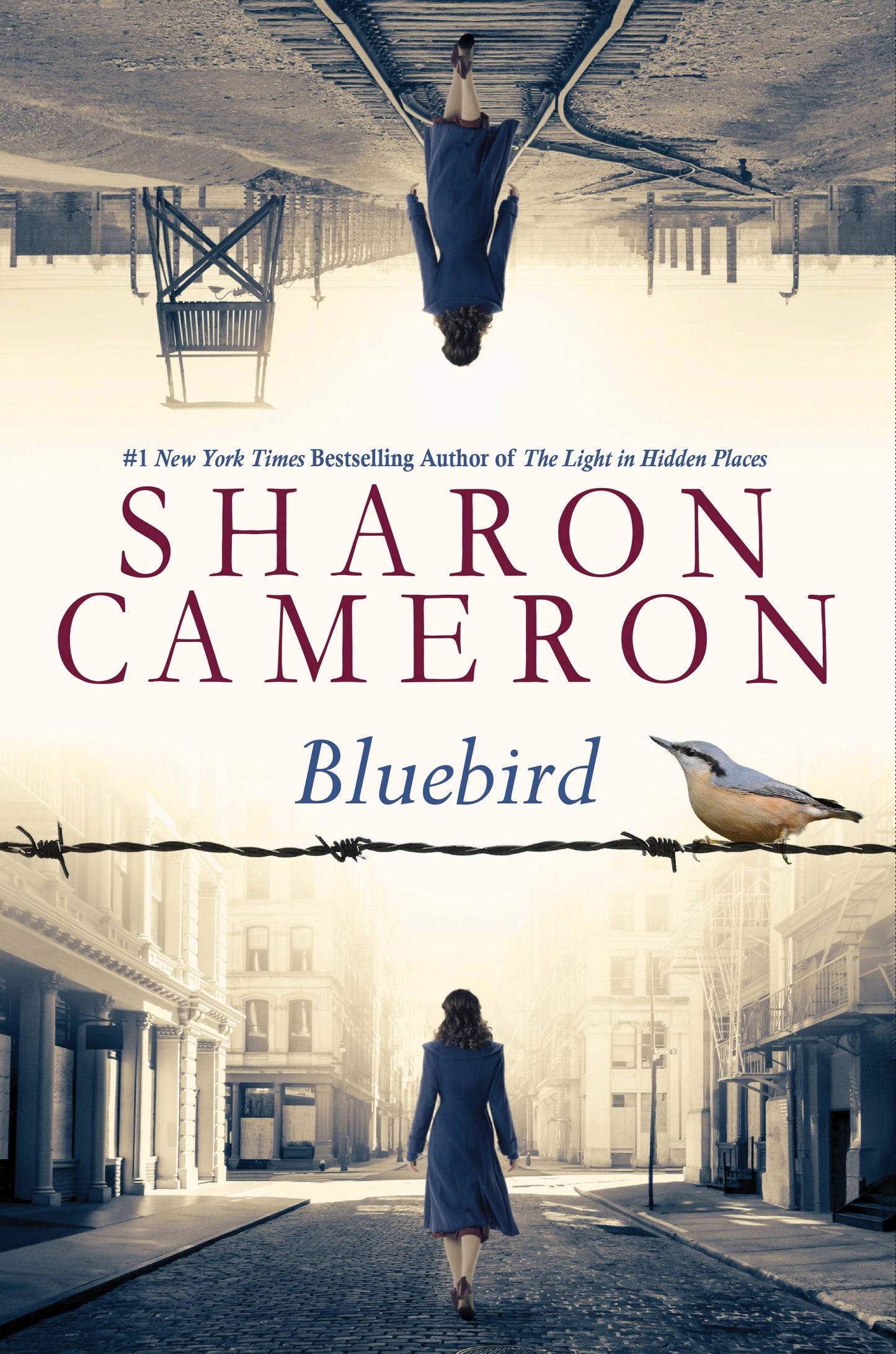 Book cover of Bluebird by Sharon Cameron
