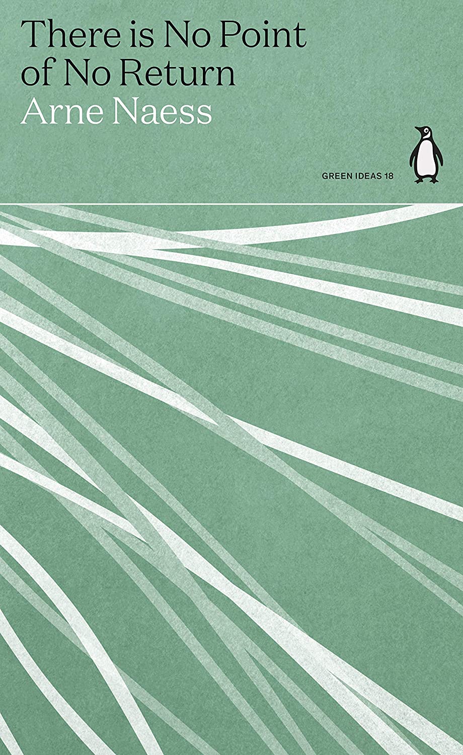 Book cover of There Is No Point of No Return by Arne Næss