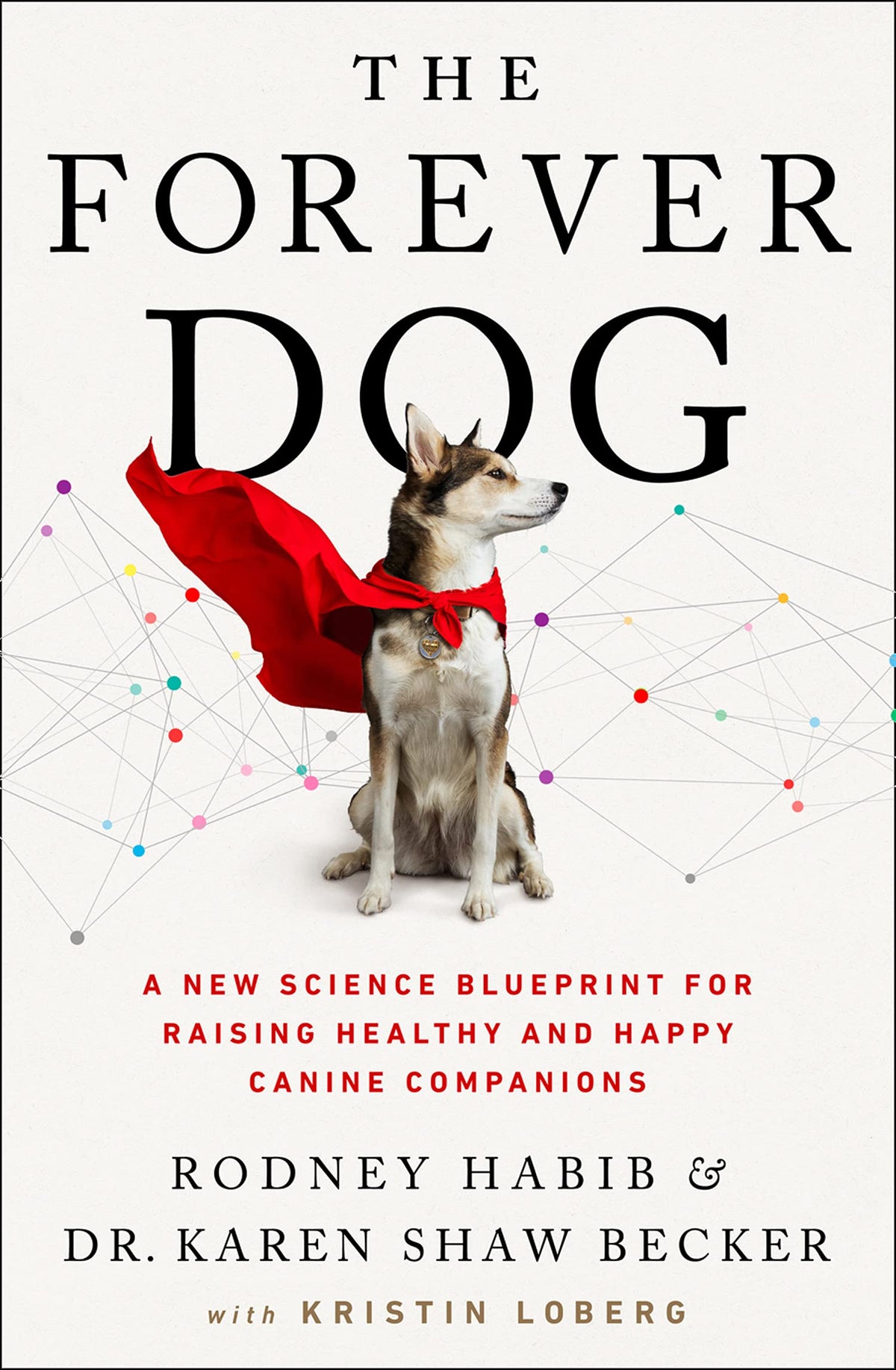 Book cover of The Forever Dog by Rodney Habib