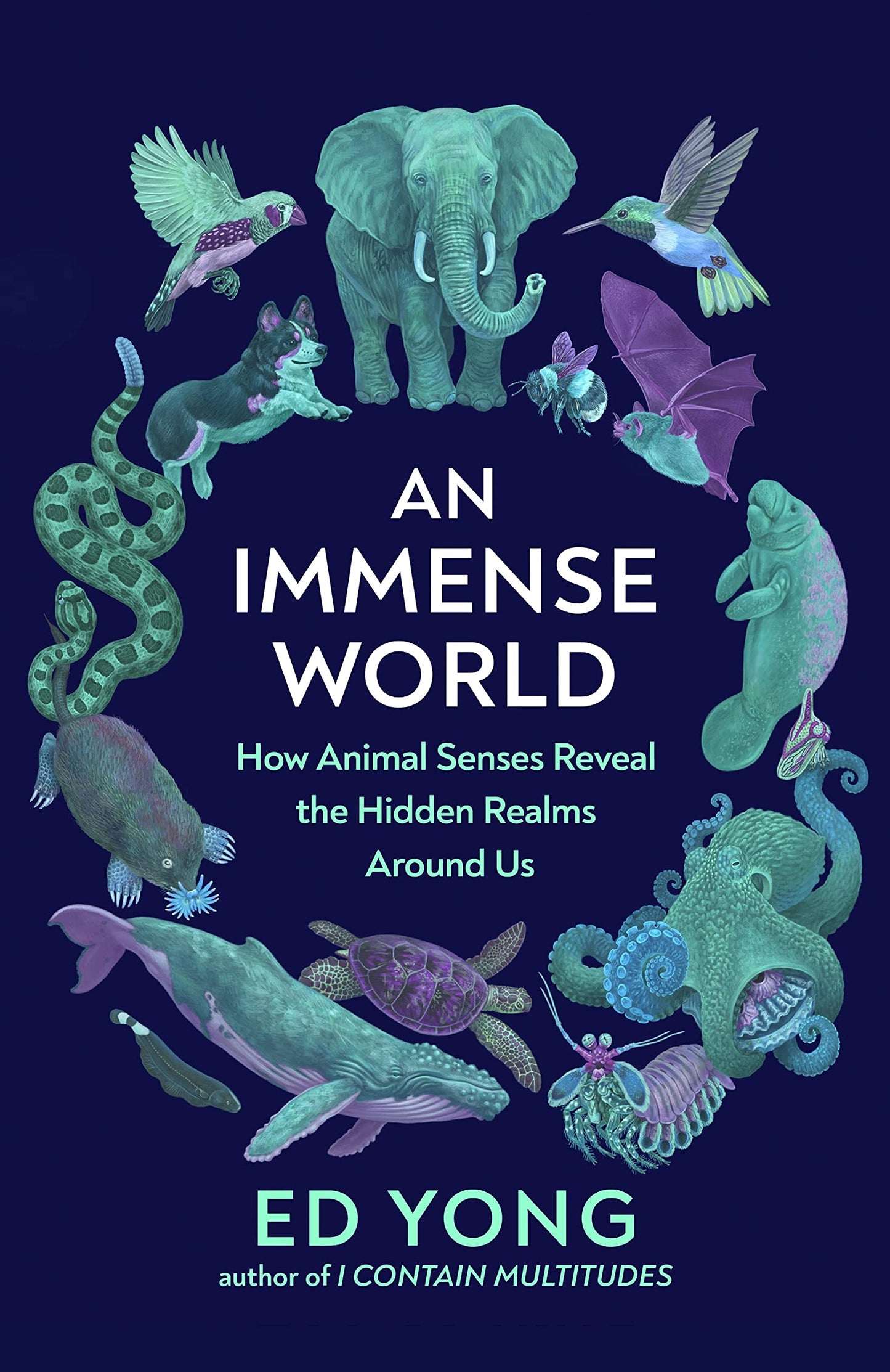 Book cover of An Immense World: How Animal Senses Reveal The Hidden Realms Around Us by Ed Yong