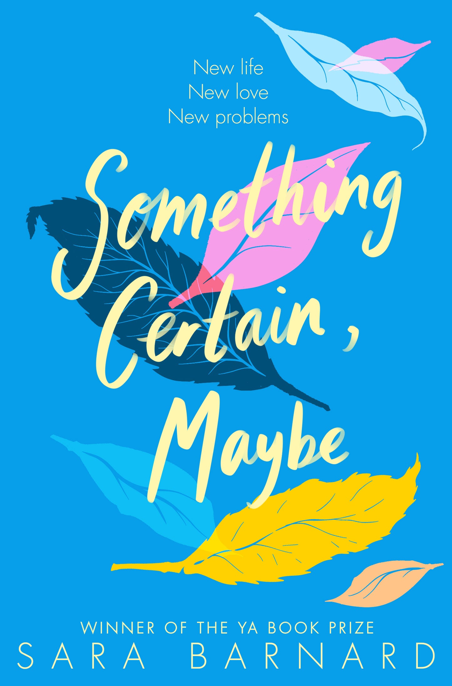 Book cover of Something Certain, Maybe by Sara Barnard