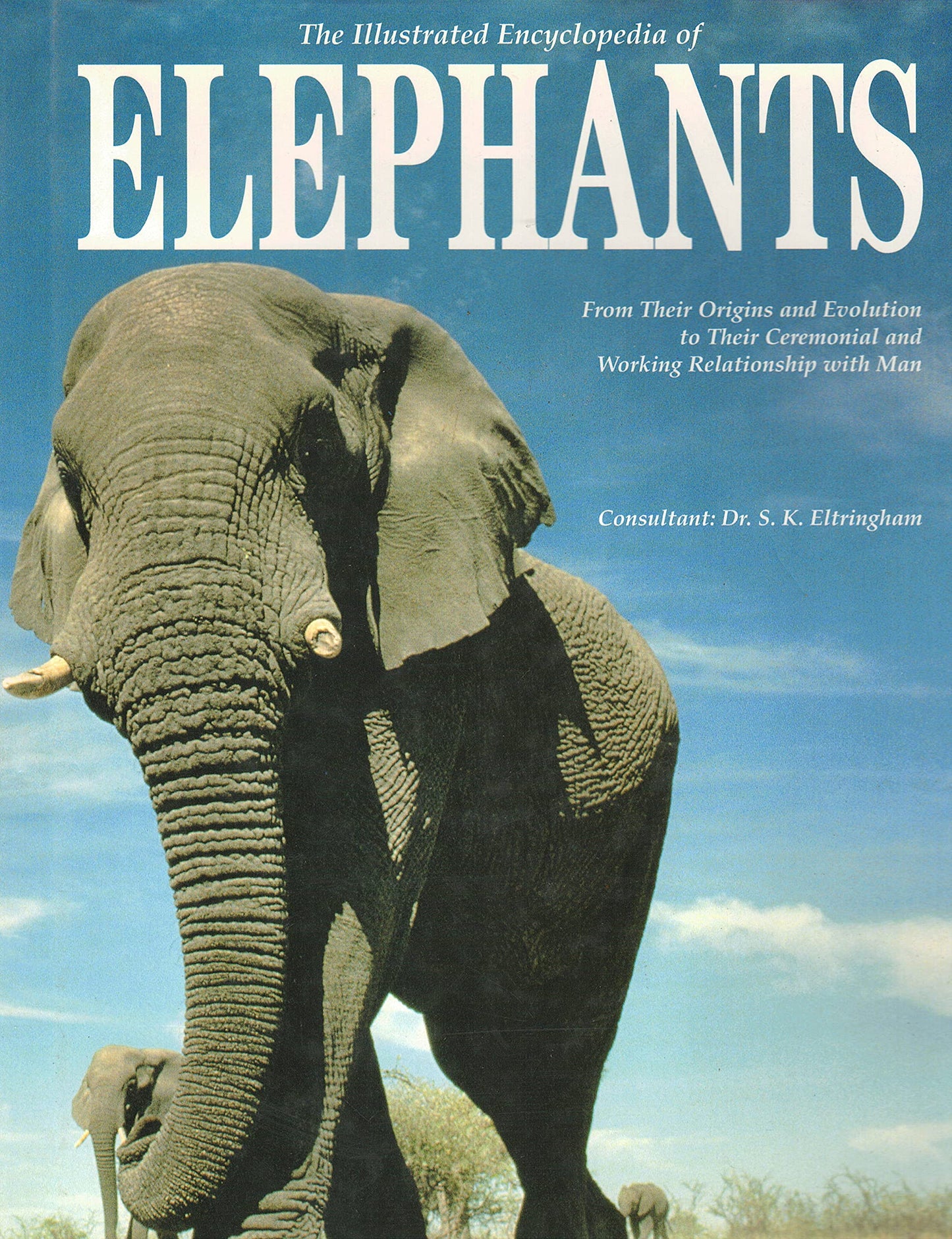 Book cover of The Illustrated Encyclopedia Of Elephants: From Their Origins And Evolution To Their Ceremonial And Working Relationship With Man by S. K. Eltringham, David Ward, David Ward Eltringham