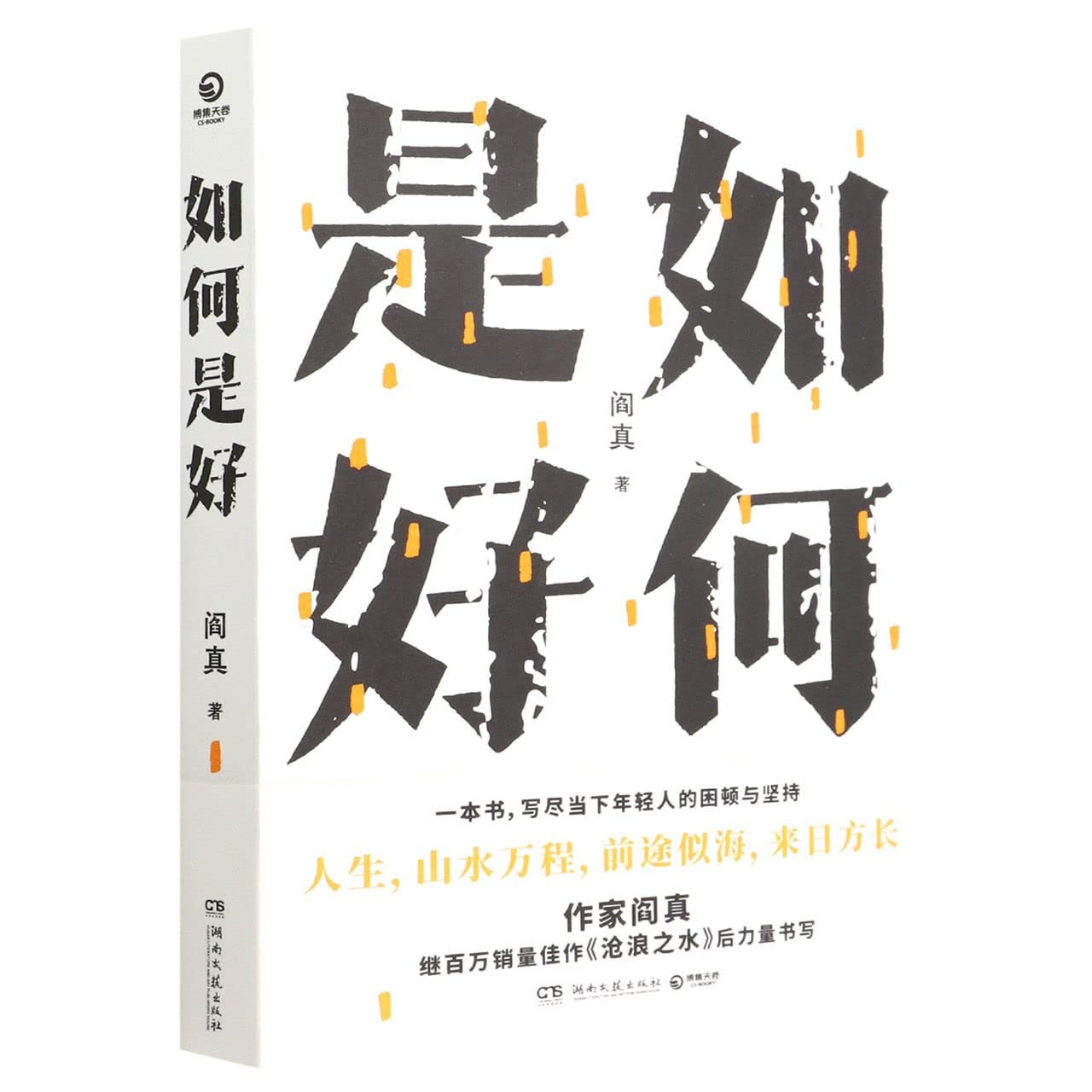 Book cover of 如何是好(女性是一种处境,而不只是性别) by 阎真, Yan Zhen (Ed.)