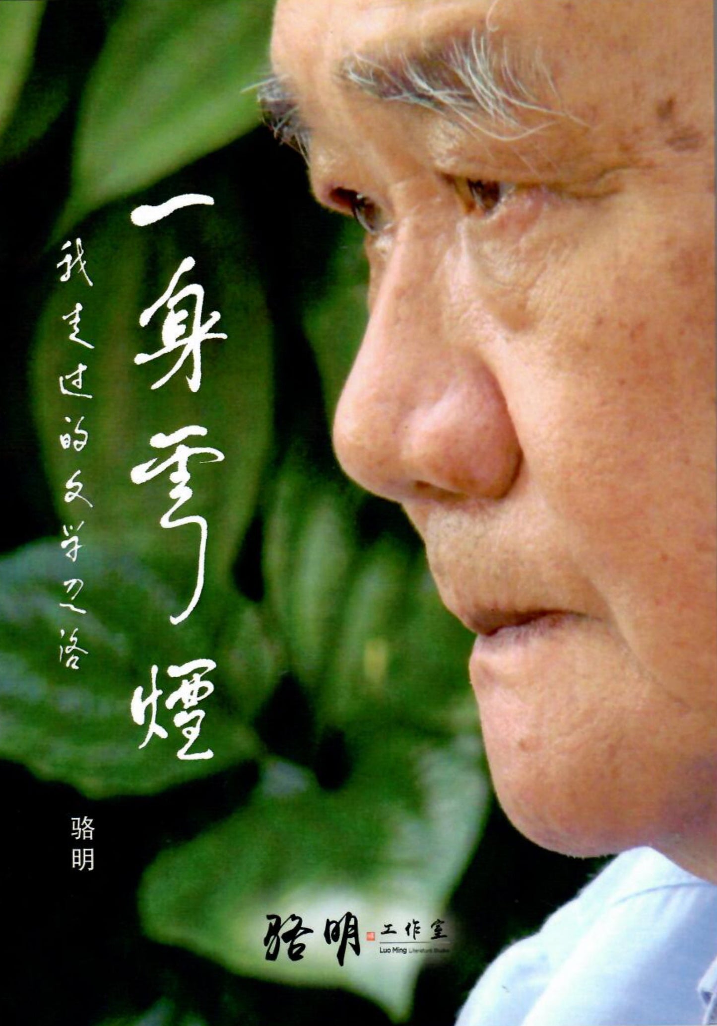 Book cover of 一身云烟:我走过的文学之路 by 骆明
