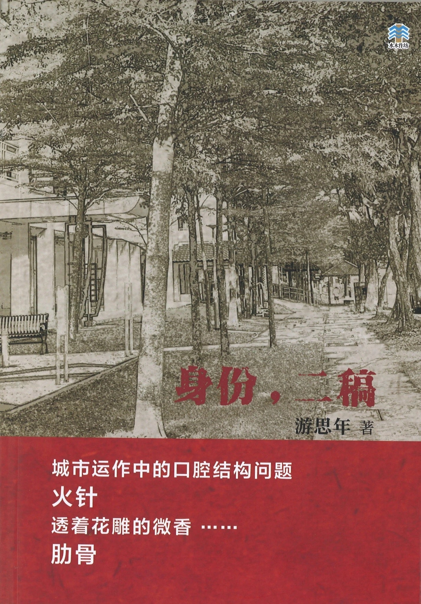 Book cover of 身份,二稿 by 游思年