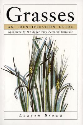 Book cover of Grasses: An Identification Guide by Lauren  Brown