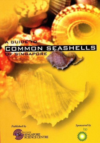 Book cover of A Guide to Common Seashells of Singapore by K. S. Tan by K. S. Tan