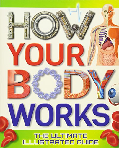 Book cover of How Your Body Works: The Ultimate Illustrated Guide by Arcturus Publishing