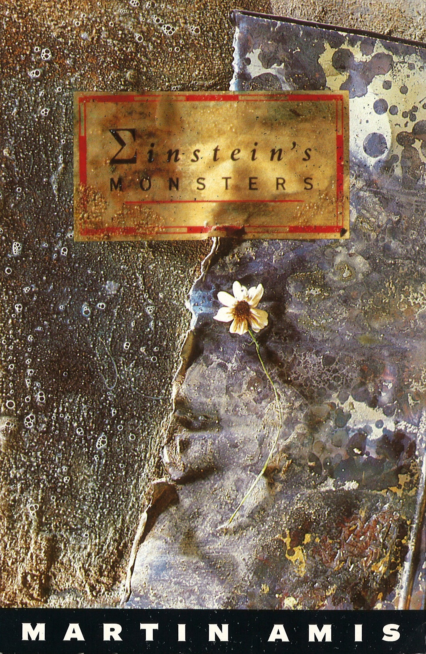 Book cover of Einstein's Monsters by Martin Amis