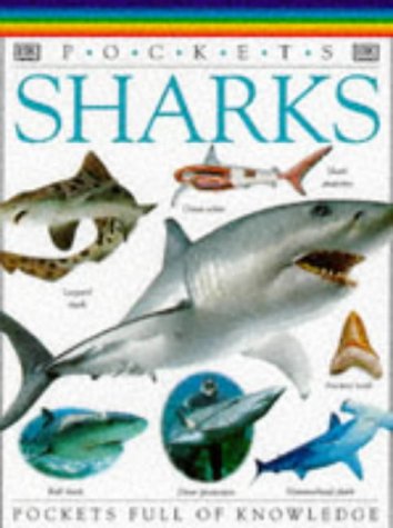 Book cover of Shark by Joyce Pope