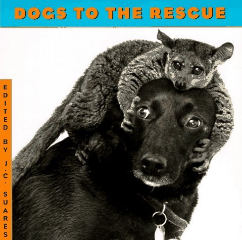 Book cover of Dogs to the Rescue by J.C. Suares, J. Spencer Beck