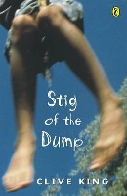 Book cover of Stig of the Dump by Clive King, Edward Ardizzone (Illus.)