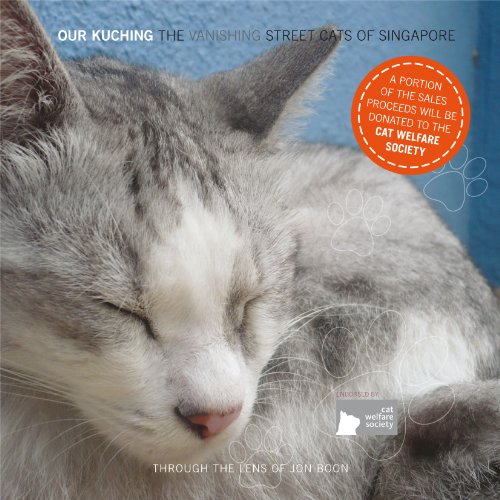 Book cover of Our Kuching: The Vanishing Street Cats Of Singapore by Teoh Sweeleng