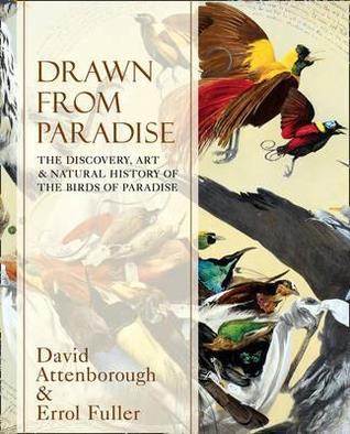 Book cover of Drawn From Paradise: The Discovery, Art And Natural History Of The Birds Of Paradise by David Attenborough