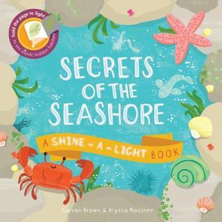 Book cover of Secrets Of The Seashore by Carron Brown, Alyssa Nassner (Illus.)