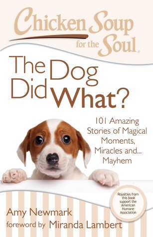 Book cover of Chicken Soup For The Soul: The Dog Did What?: 101 Amazing Stories Of Magical Moments, Miracles And... Mayhem by Amy Newmark (Compiler), Miranda Lambert (Foreword), Jack Canfield, Mark Victor Hansen, Brenda Nixon, Mary Vigliante Szydlowski