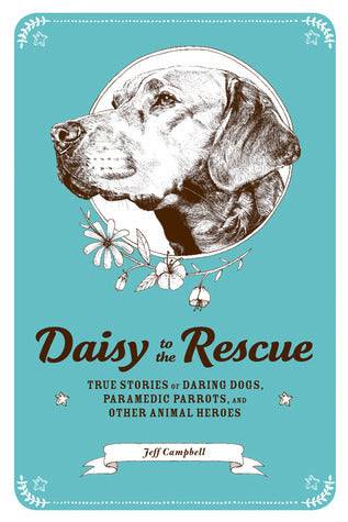 Book cover of Daisy To The Rescue: True Stories Of Daring Dogs, Paramedic Parrots, And Other Animal Heroes by Jeff   Campbell, Ramsey Beyer (Illus.), Marc Bekoff (Foreword)