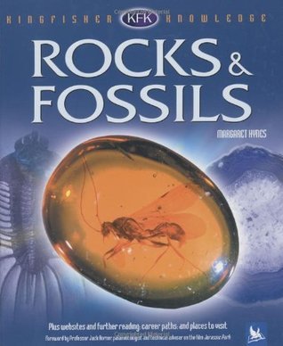 Book cover of Rocks & Fossils by Margaret Hynes