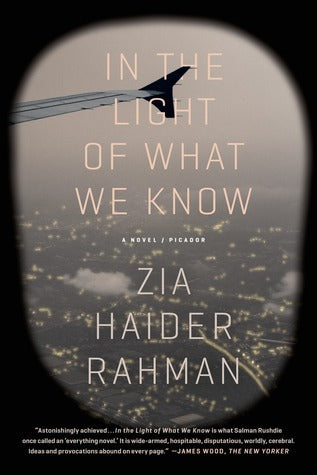 Book cover of In The Light Of What We Know by Zia Haider Rahman