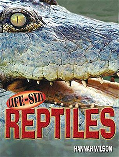 Book cover of Life-Size Reptiles by Hannah Wilson