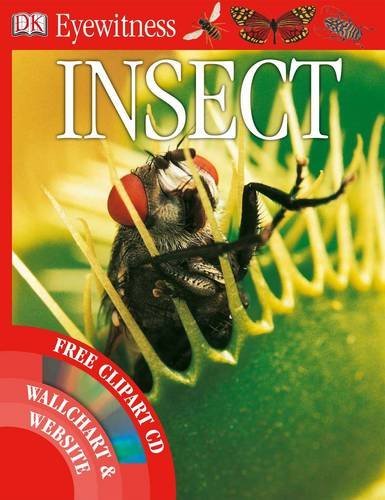 Book cover of Insect by Laurence Mound