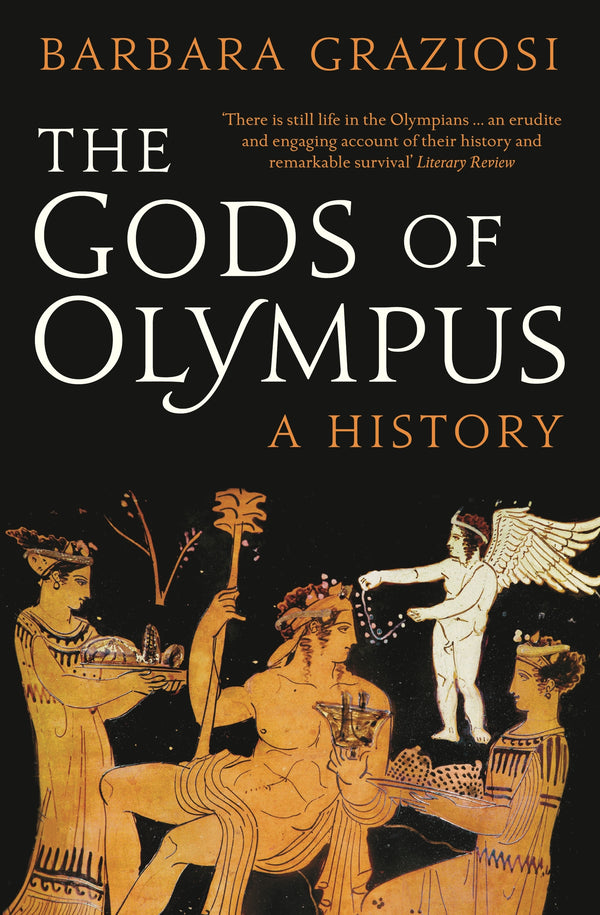 Book cover of The Gods of Olympus: A History by Barbara Graziosi