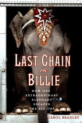 Book cover of Last Chain On Billie: How One Extraordinary Elephant Escaped The Big Top by Carol Bradley