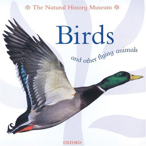 Book cover of Birds And Other Flying Animals by Barbara Taylor