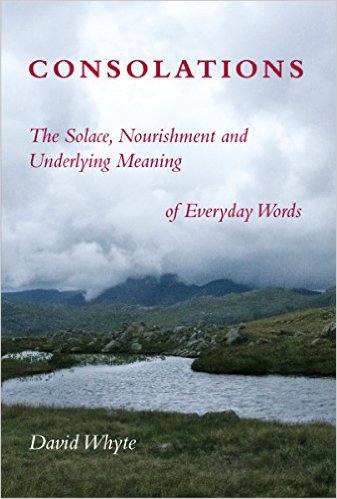 Book cover of Consolations: The Solace, Nourishment And Underlying Meaning Of Everyday Words by David Whyte
