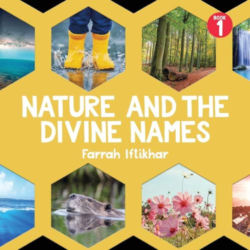 Book cover of Nature and the Divine Names by Farah Iftikhar