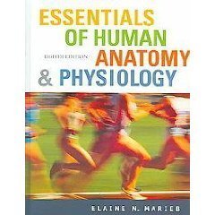 Book cover of Essentials Of Human Anatomy & Physiology by Elaine N. Marieb
